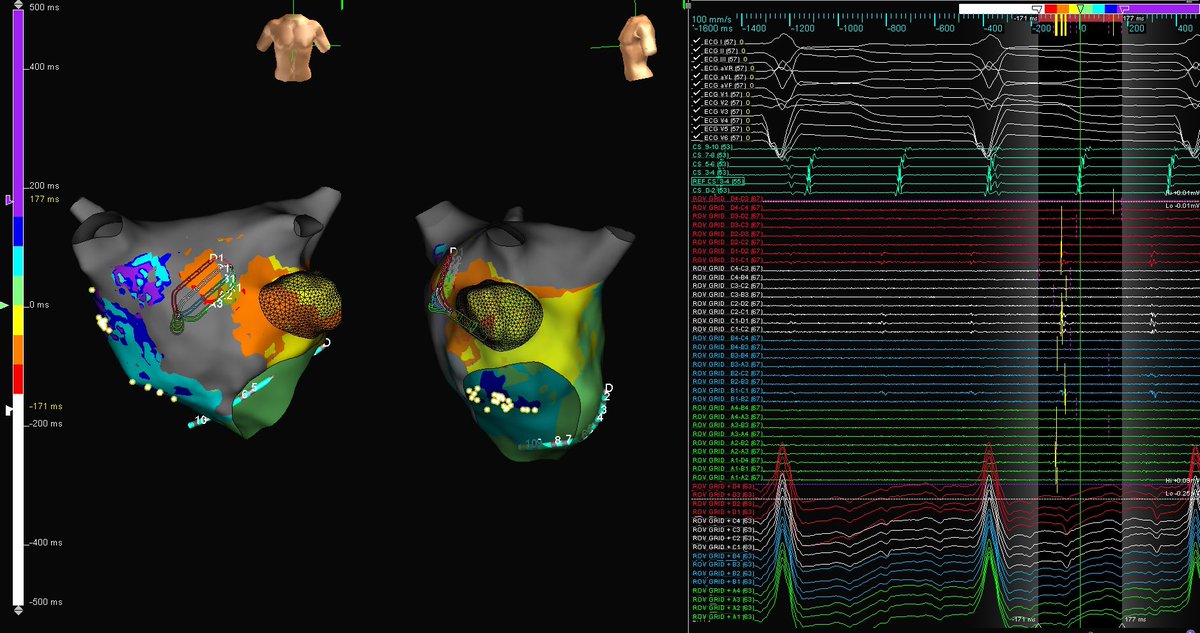 Sheila Pressley tweet media