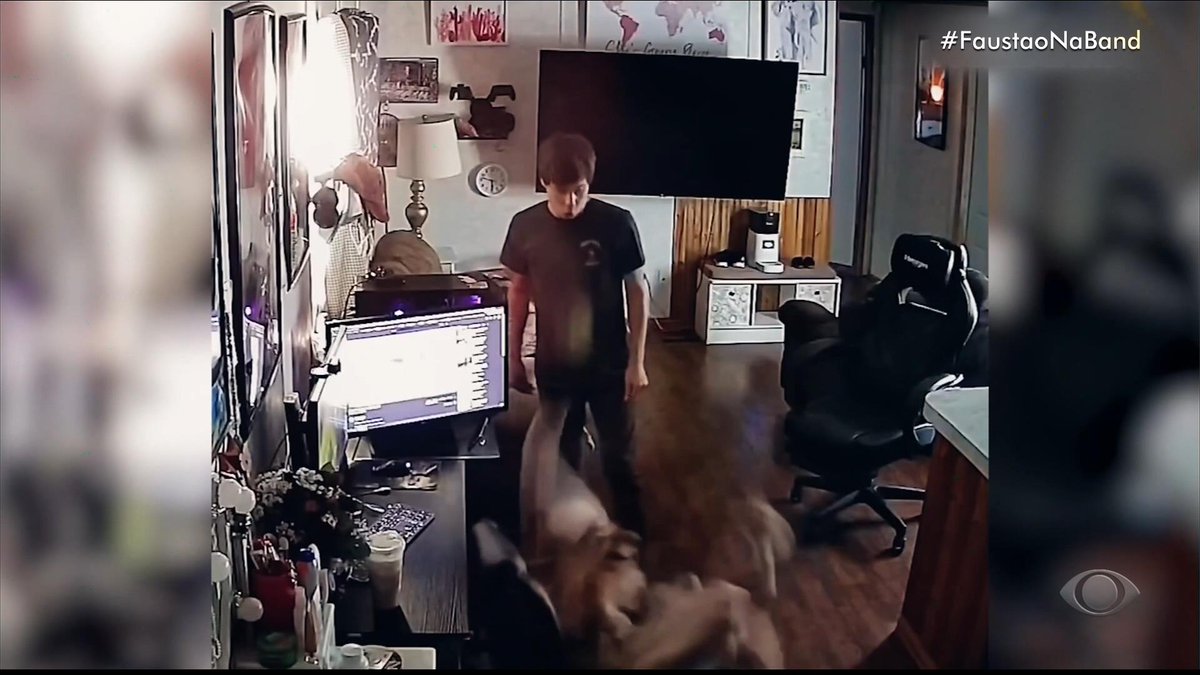 raphaelplay's tweet image. #zapzap #FaustaoNaBand