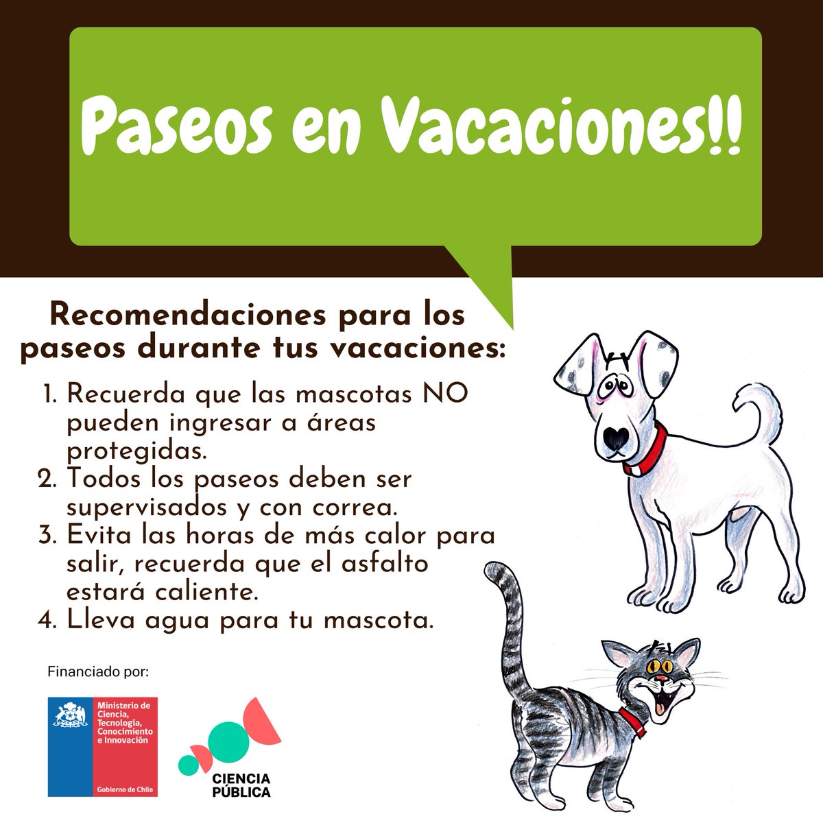 g_animales's tweet photo. Acá algunas cosas para recordar durante las #vacaciones con tus #mascotas #TenenciaResponsable https://t.co/se6AU1bCgC