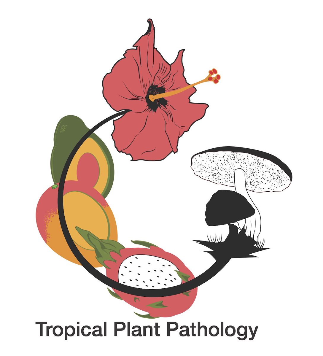 ClinicPlant's tweet photo. Now that we reached 3,000 followers, I would like to re-introduce my lab and share the most recent photo 🤩 We study plant diseases affecting tropical and subtropical natural and agricultural ecosystems, the good #fungi and the bad ones #plantdiseases🍄💀 🧫🔬🦠@UFTropical 🥑🥭🌺 https://t.co/JqlkDO93ez
