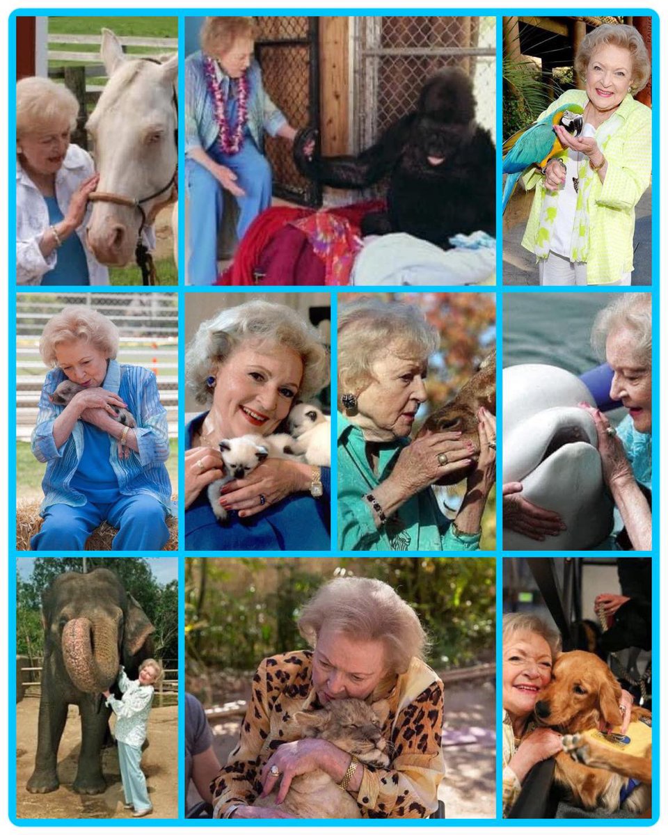 SCFA16's tweet image. Today would have been Betty White’s 100th birthday.🥳🎈🎉Wouldn’t it be GREAT if on January 17, 2022 If you would like to make a donation of any amount to SCFA there are several ways you can donate:* Via our website secondchanceforanimals.org
#BettyWhiteChallenge￼ #donate