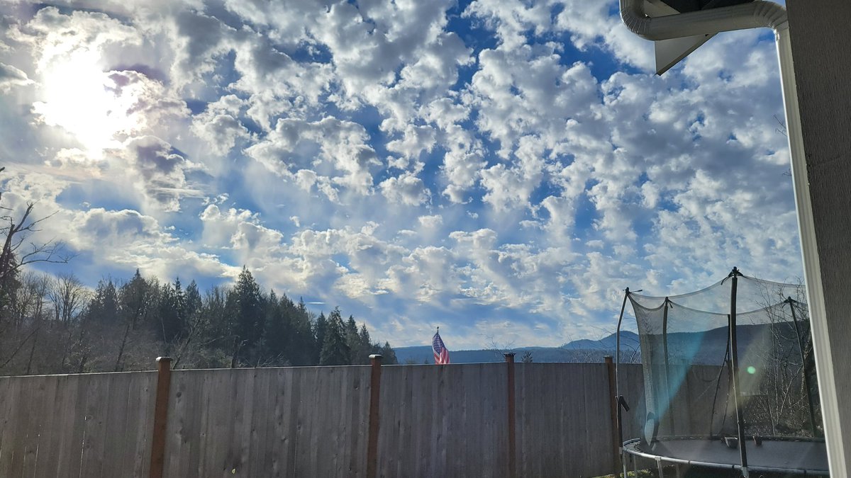 FarrAndAway's tweet image. What @UPS says versus reality. I got free shipping but I sure hope @SnoPUD gets their shipping dollars back. #UPSlies