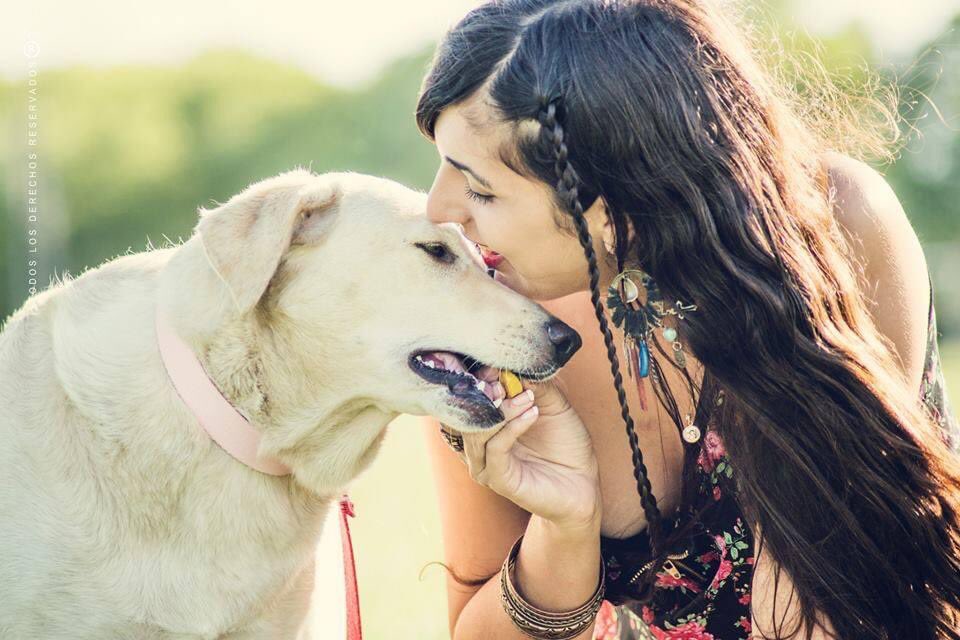 Tefipunk89's tweet photo. Para Siempre chancho bebe de mamá 😭💔 https://t.co/NkiMT2JZuv