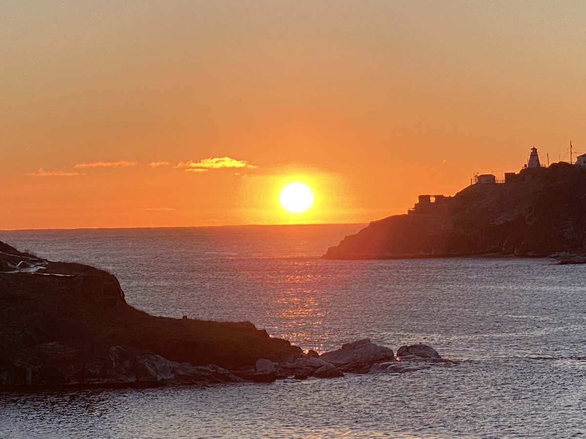 Susan Matthews tweet media