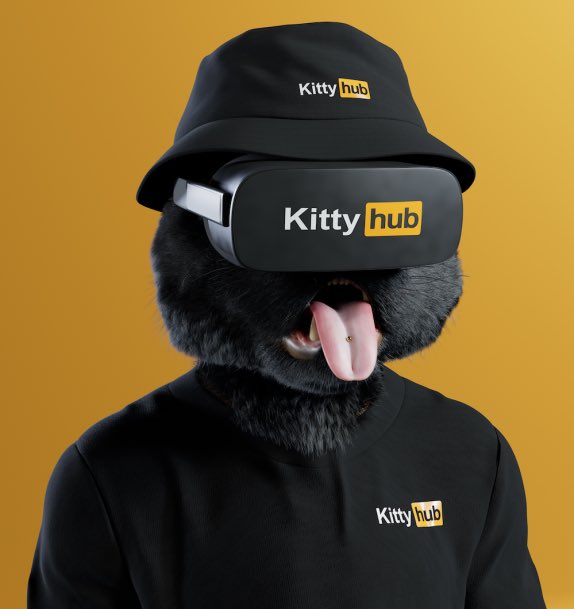 Ameer Hussain tweet media