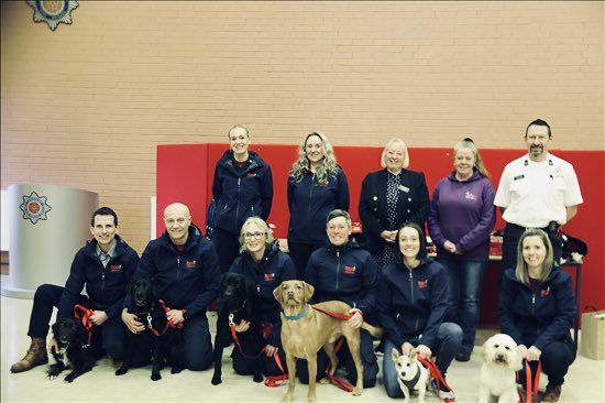 LFRS_HlthFitWel's tweet photo. A huge welcome to our newest members of the Service, our team of #WellbeingSupportDogs have made their debut and are now in place to offer wellbeing support (along with their peer support handler) to our colleagues #howcanisupportu 

@firefighters999 https://t.co/XDZff6yq2M