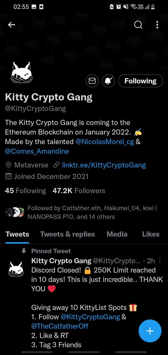 dduckroo's tweet photo. @ameerhussain @KittyCryptoGang https://t.co/IrRn79ww8e