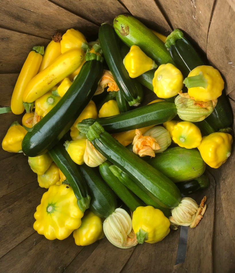 Memberships for Art Farms’ Community Shared Agriculture for the 2022 season are open now! They offer Full Shares and Half Shares for a 20 week season. Deadline for registration is April 1 ’22. More information at artfarmproduce.ca or email lenni.workman@gmail.com