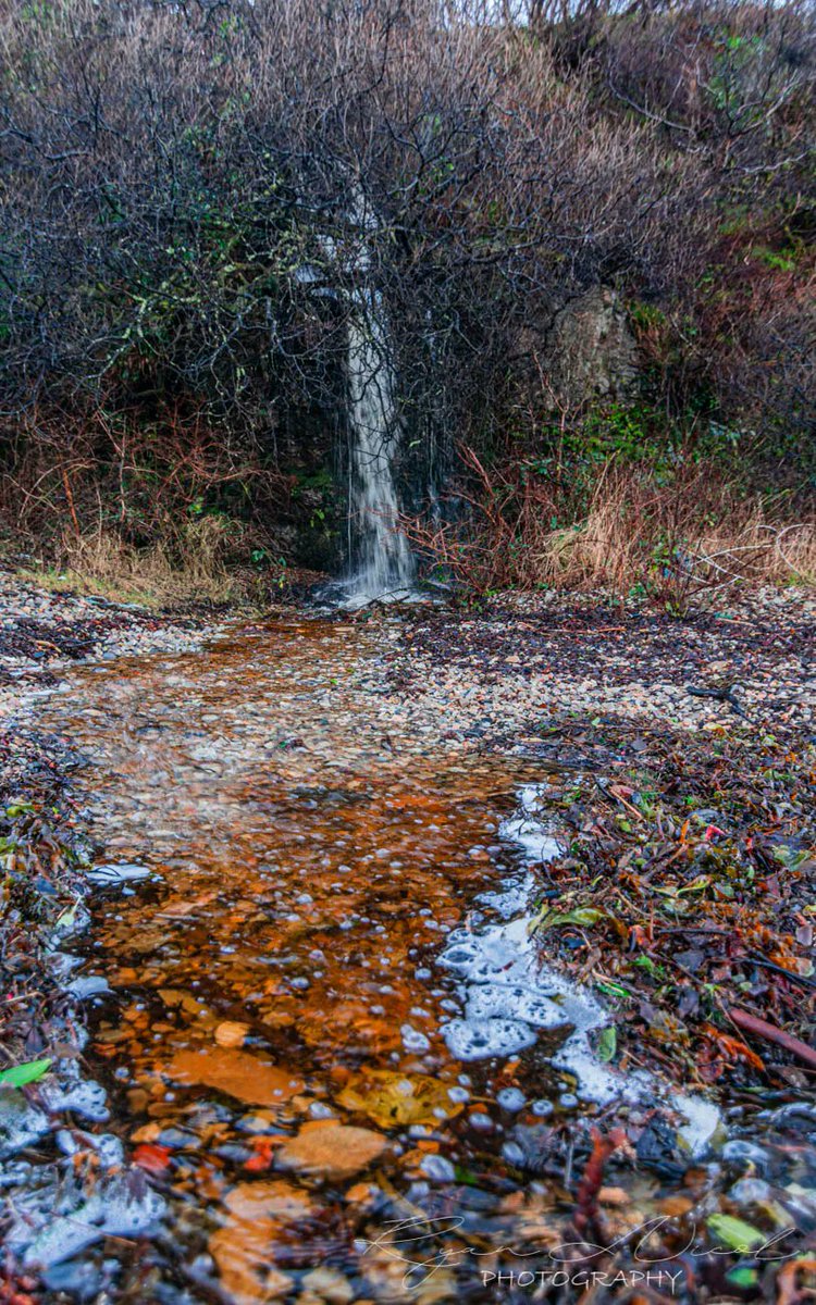 RyanNic74525810's tweet photo. The wee waterfall at Bunnahabhain beach 

#visitscotland #Scottishcollective #lovescotland #isleofislay #simplyscotland #scotlandshots #nationaltrust #hiddenscotland #scotlandisnow #photomasteryclub #OutAndAboutScotland  #nikoneurope

 @argyllandbute https://t.co/yupdgQX50R