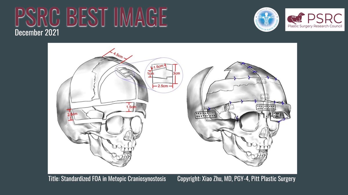 Plastic Surgery Research Council tweet media
