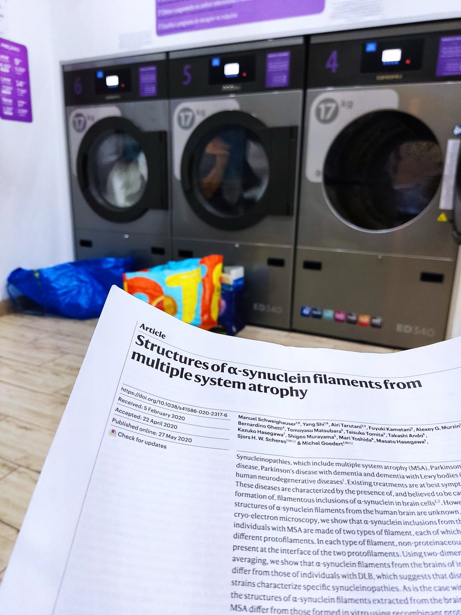 makeshift laundry bolsa