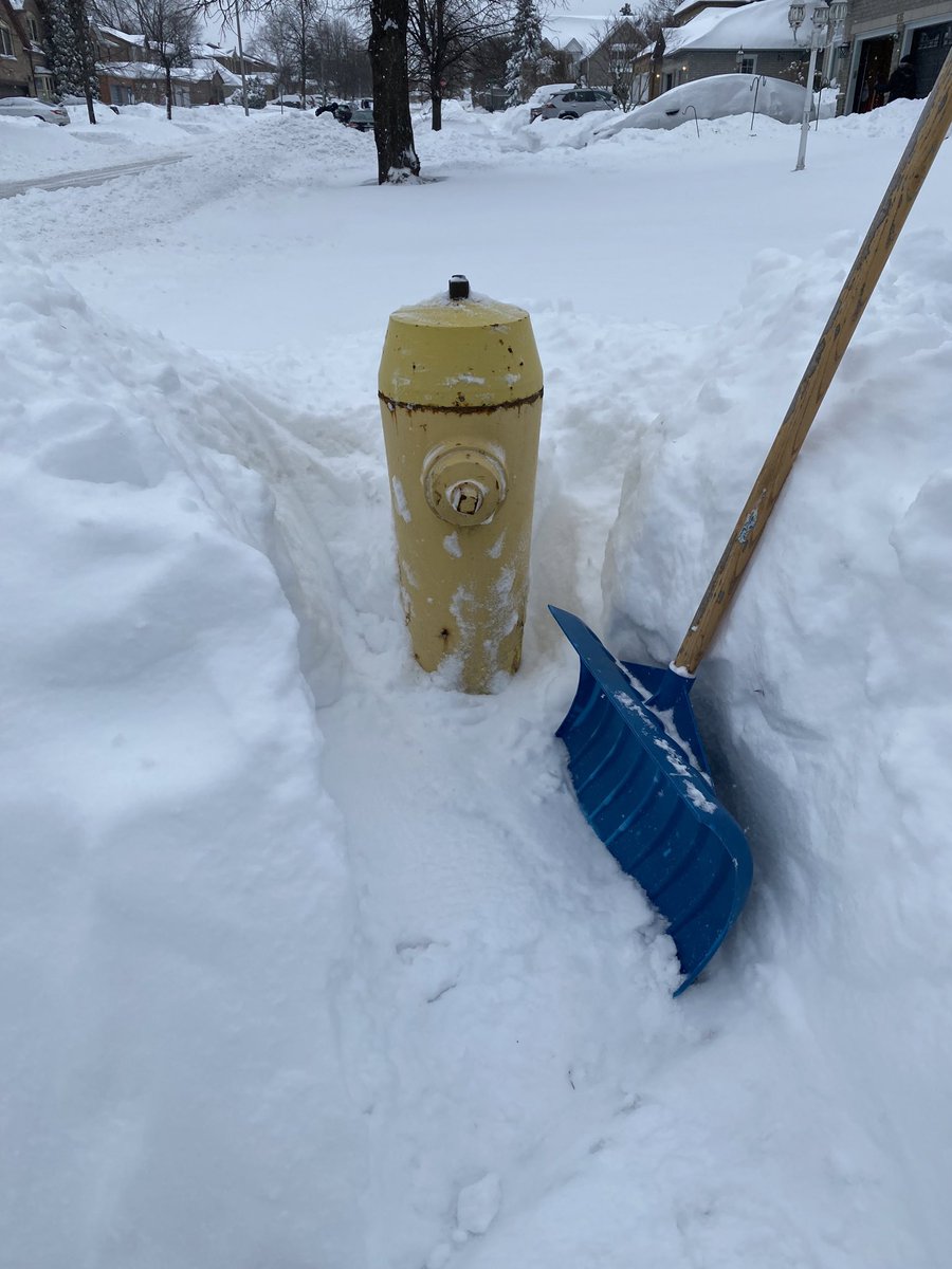 TomHayesNews's tweet image. Don’t forget these - #snowday #snow