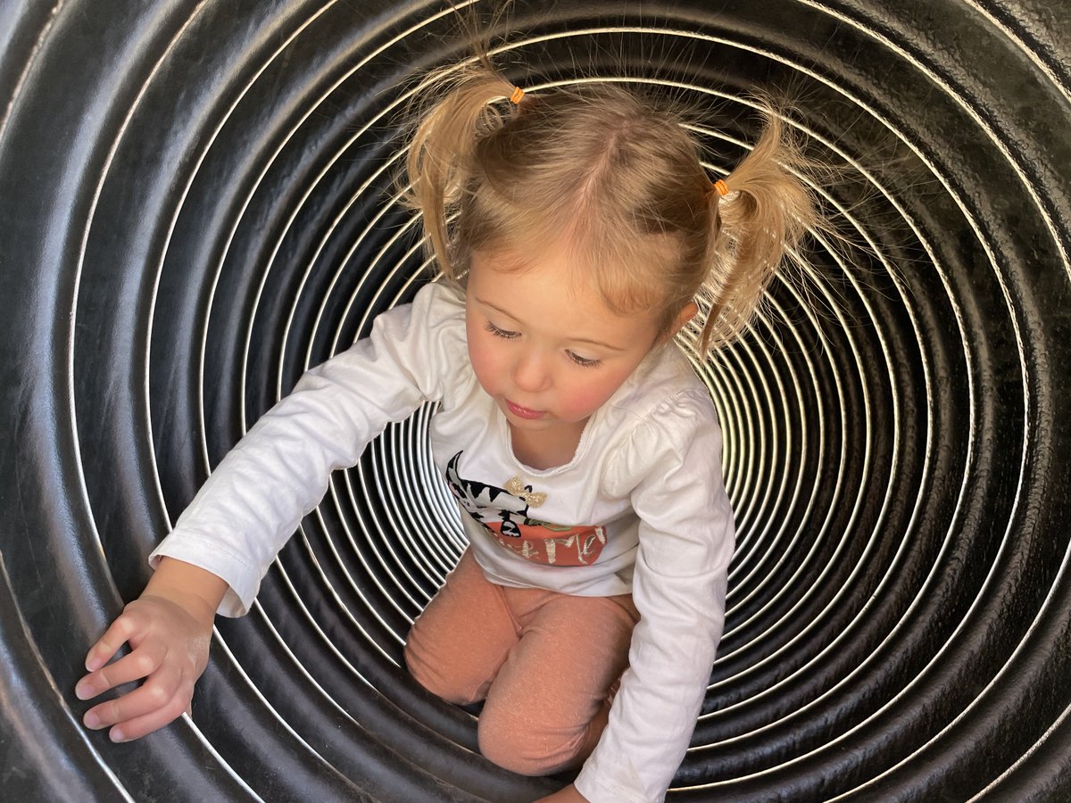 Elliot Moore tweet media