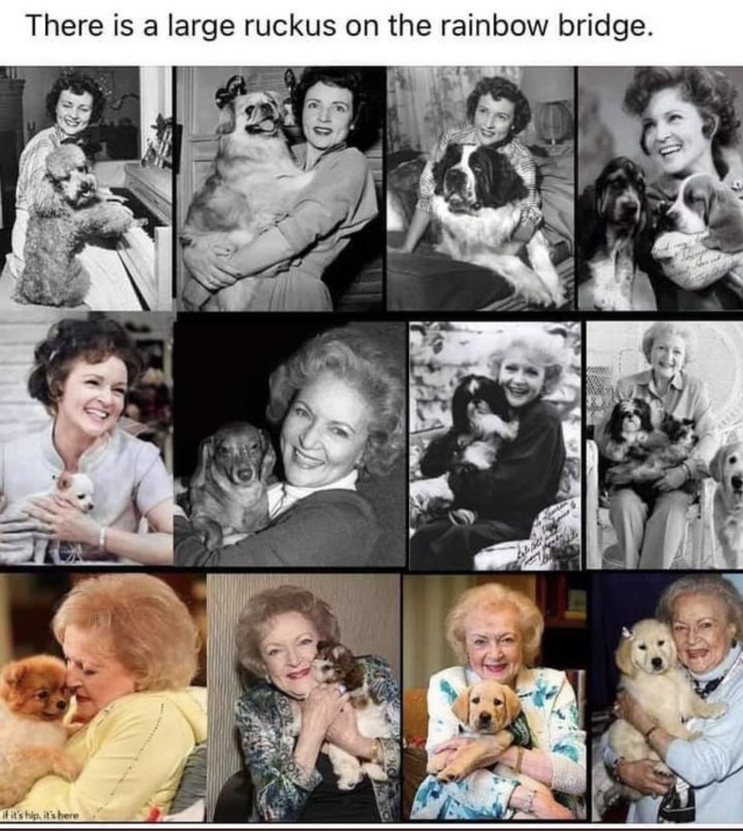 katelintong's tweet photo. Happy birthday Betty White. I hope you have the best 100th birthday ever!! Rest In Peace❤️ #BettyWhiteChallenge #trulyrewarding https://t.co/NN4Rz4hdAf