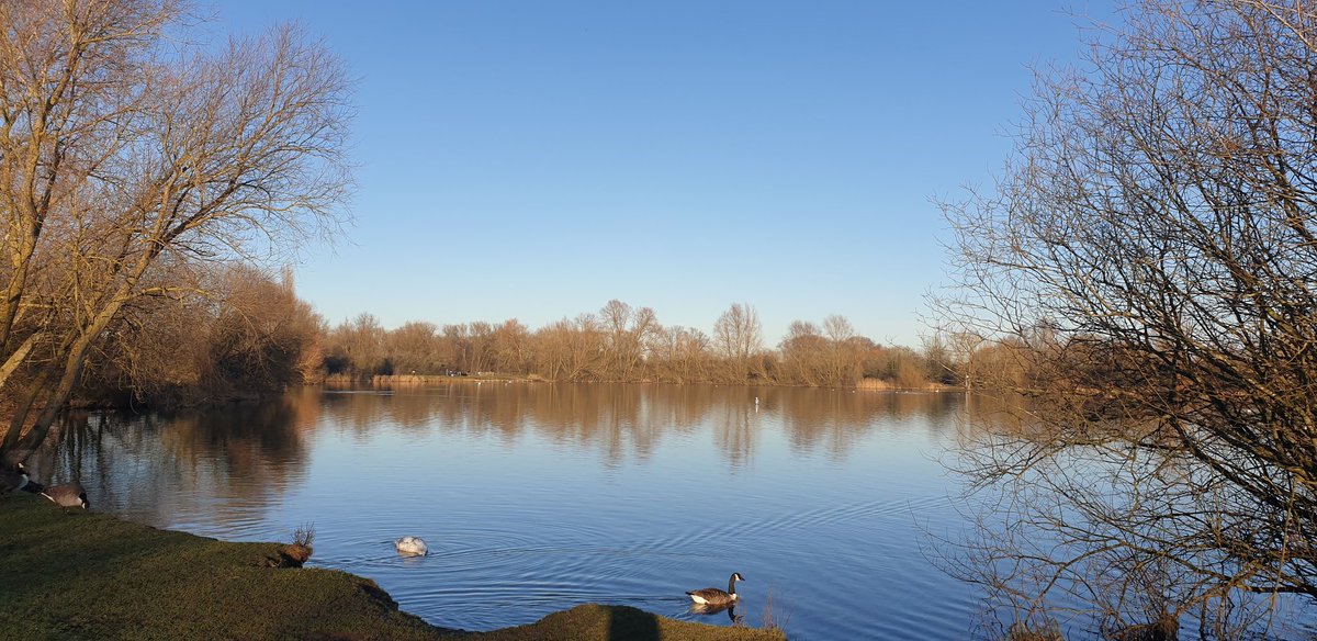 EmmaCowie14's tweet photo. Lovely walk around watermead with my pooch https://t.co/dwp2acndXF
