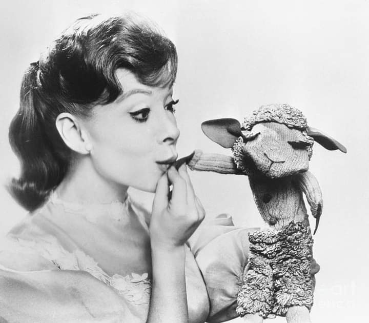 Happy Birthday to the late great Shari Lewis. 