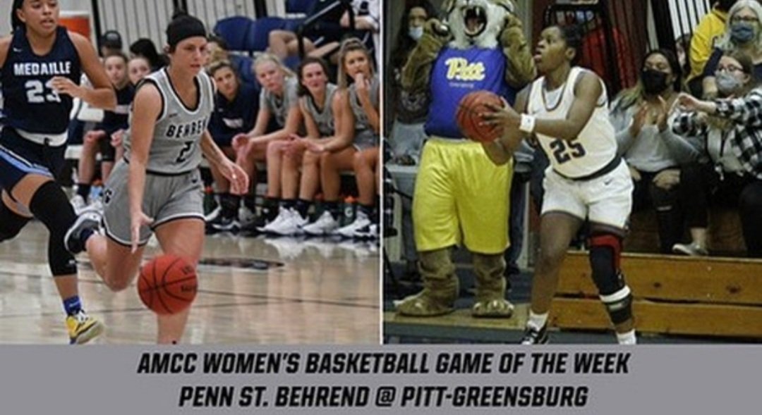 Behrend W Basketball (@psb_wbb) on Twitter photo 
