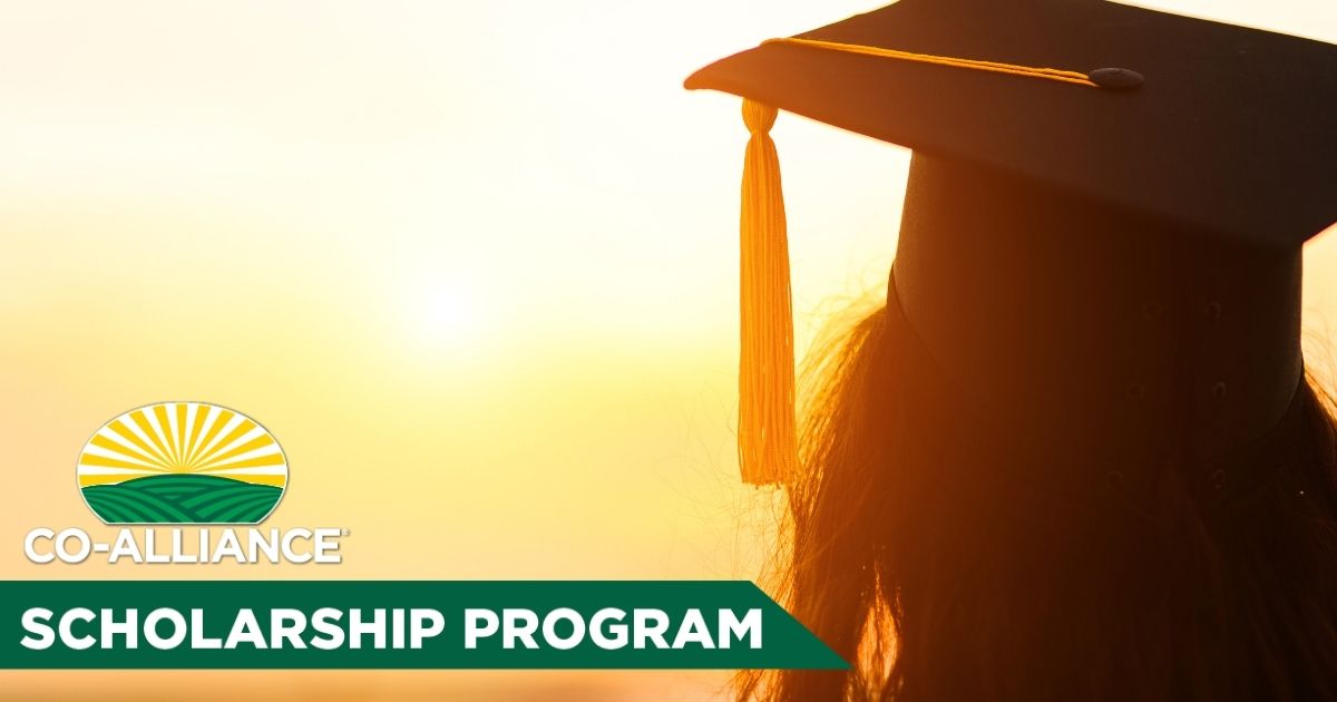 KeystoneCoop's tweet photo. Applications for the 2022 Co-Alliance Scholarship are now open! 🎓 Applicants must be the child or grandchild of a member of Co-Alliance Cooperative. 

💻To apply and learn more: https://t.co/7FSZpw5aTo https://t.co/TAOOHMz0cg