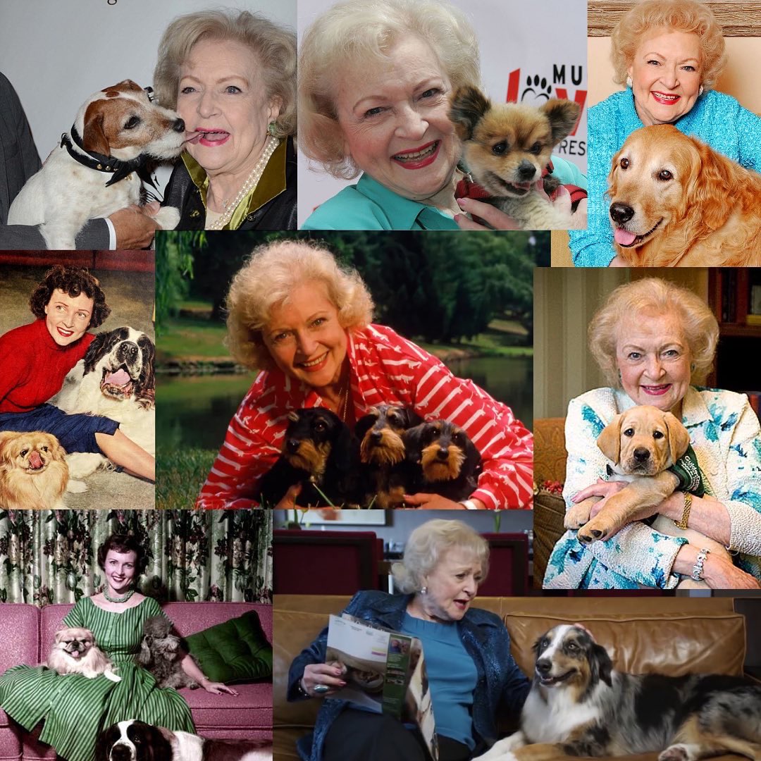 calliscurations's tweet photo. We wanted to make our late queen proud so we decided to participate in the #bettywhitechallenge!

Our Rescue Animals shirt is 25% off until tomorrow and we’re donating a portion of every sale from our site through tomorrow to a local animal shelter! https://t.co/lKCU4C2zAR