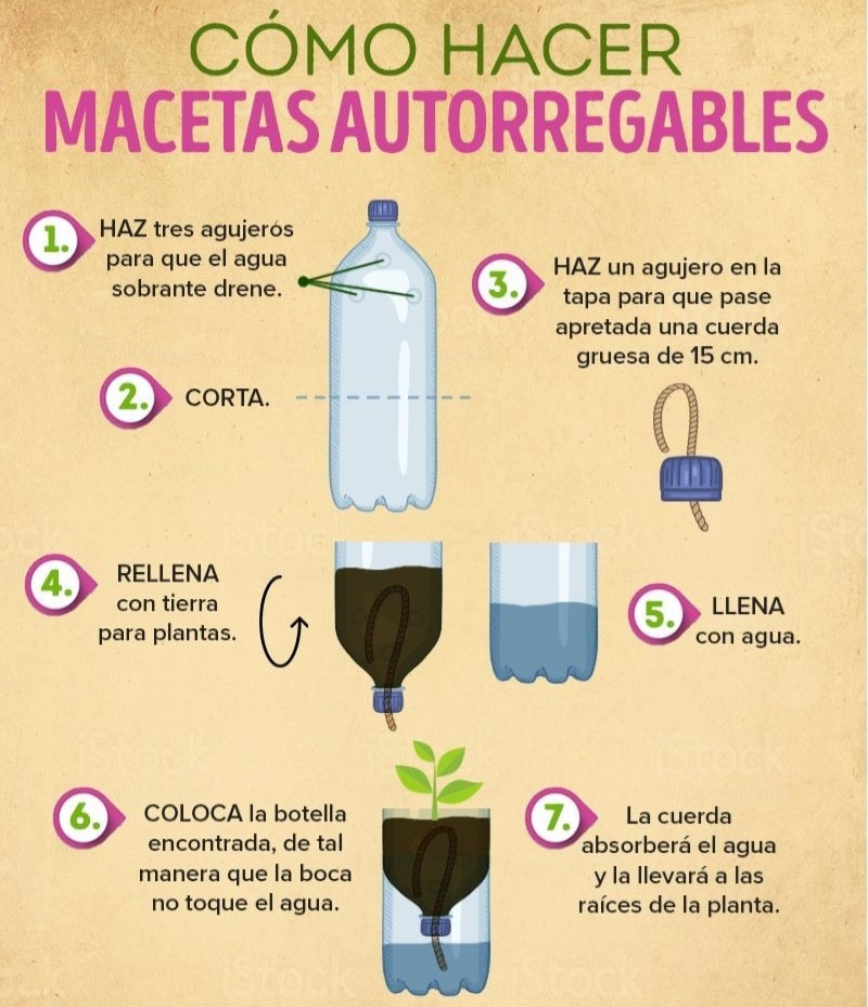 🌱 Cómo hacer macetas autorregables 🌱