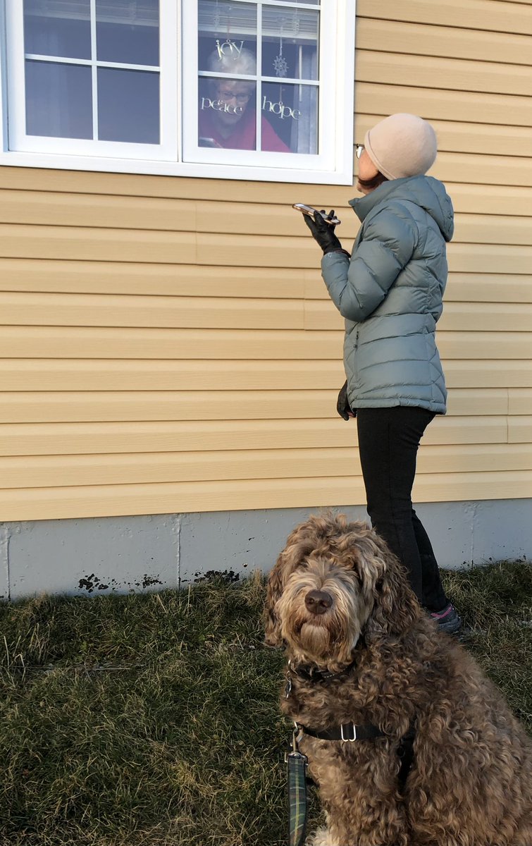 ronwearles's tweet photo. When our personal care homes are in lockdown, we use creative ways to visit our family members❤️ #windowvisit #Isolation #covid19nfld #labradoodle https://t.co/PNyHNqeWuk