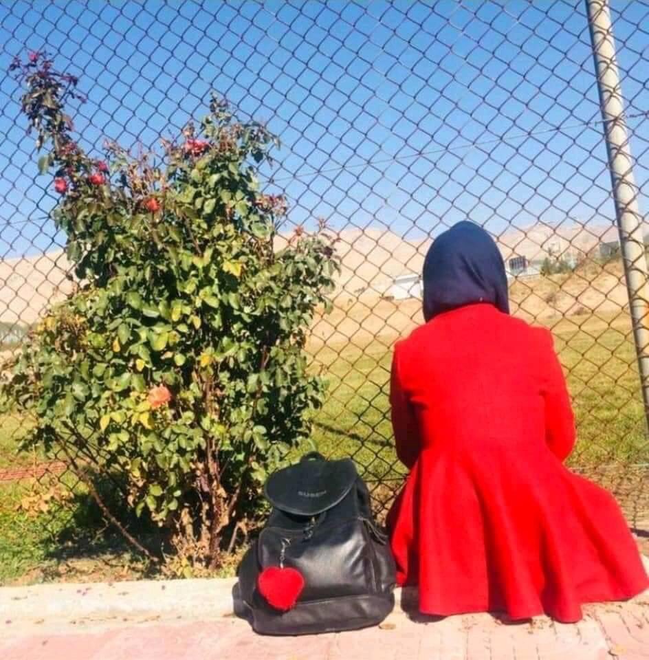 DoctorFahima's tweet photo. Whenever it falls to the ground, it does not break anywhere.
Must rise to power a second time.
And take the steps of strength before ! https://t.co/hKh1MxtvXQ