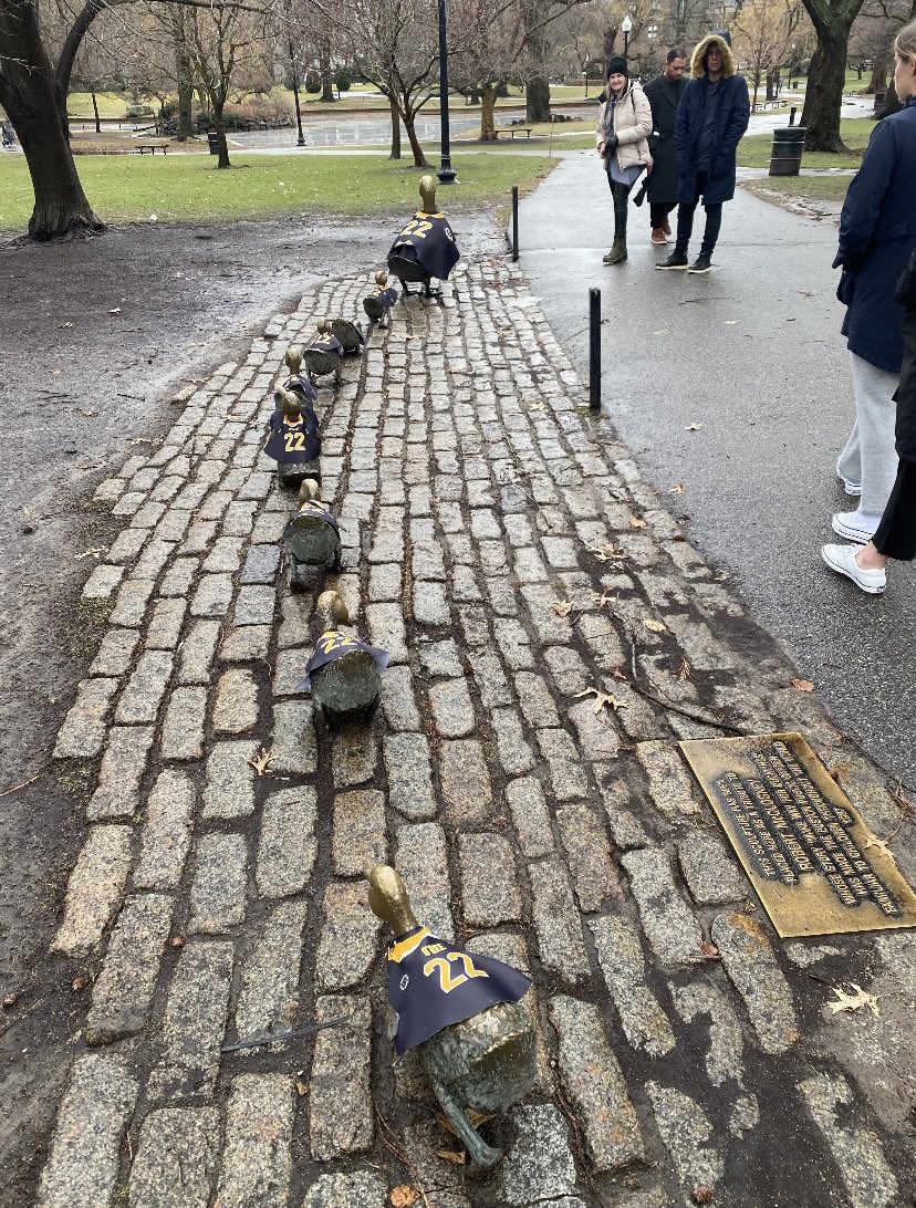 Make way for Willie. 🦆 

#NHLBruins | #Willie22