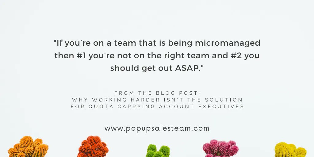 Pop Up Sales Team tweet media