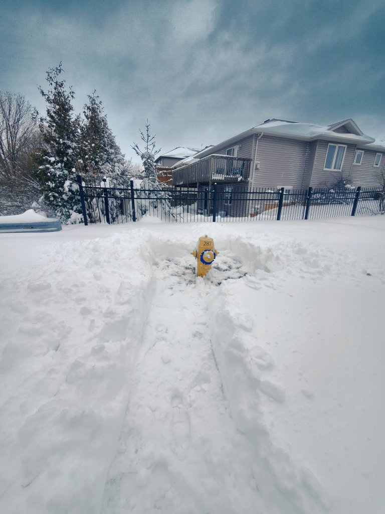 thistleash's tweet photo. Our hydrant is ❄️ free on Arejay Avenue 🌨️❄️☃️#LincolnONSnowSquad https://t.co/TMyTtS31JA