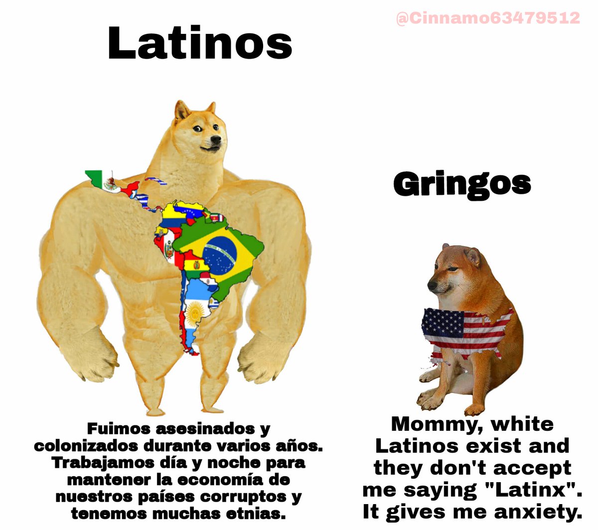 Meme perfecto #ShutUpGringo2022, image size:1200x1064