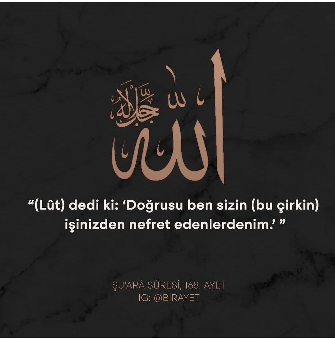 Nilüfer Çayan tweet media