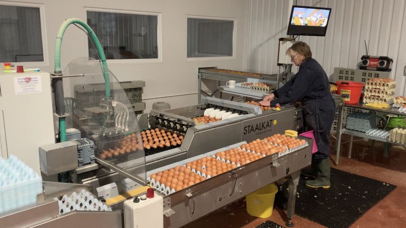 Llŷr Derwydd 🏴󠁧󠁢󠁷󠁬󠁳󠁿 tweet media