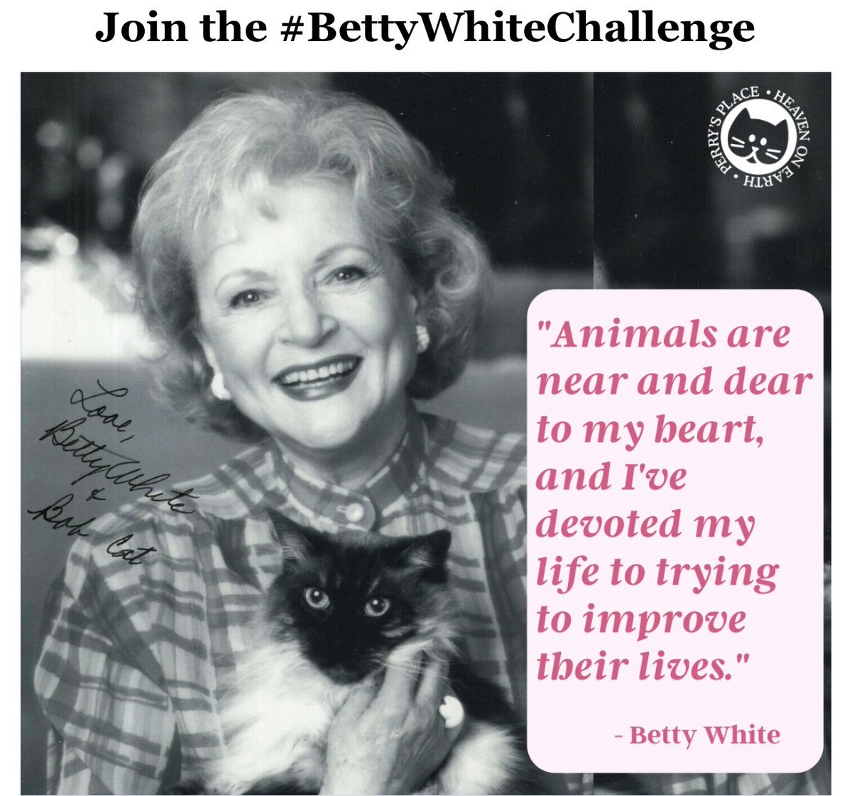 #BettyWhiteChallenge 🐾🐾🐾🐾🐾💞💞💞 #donate $ to #animalrescues  in honor of the wonderful animal advocates’ birthday!! 🎂🎉🎈🐾🐾🐾 #animals