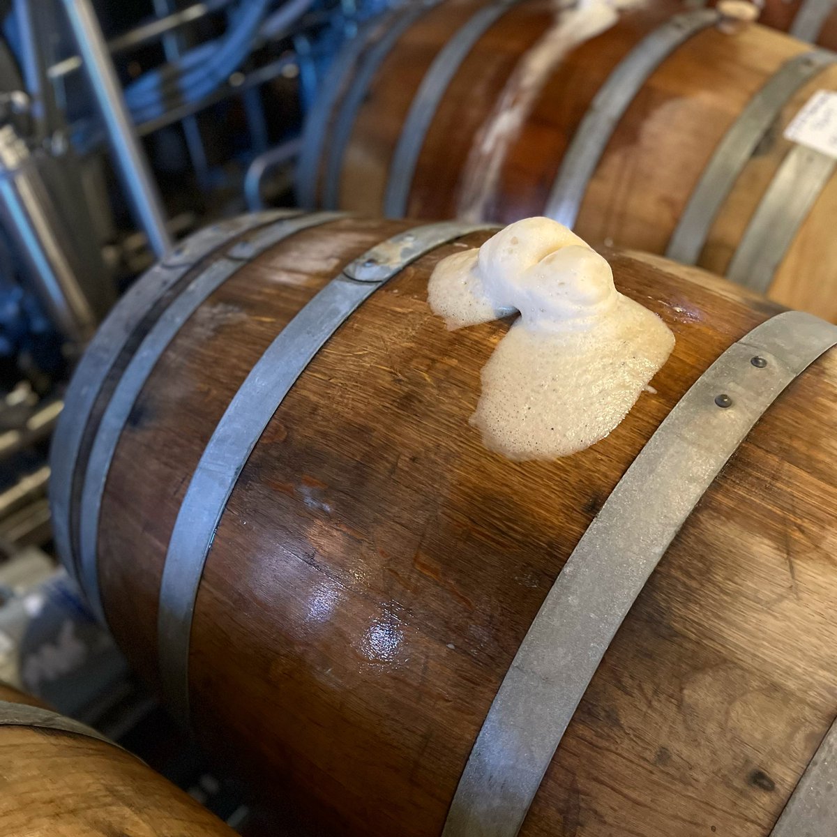 SpringfieldBrew's tweet photo. Our brewers woke the sleeping Dragon to taste our latest barrel-aged release for you guys and we are ready to take flight! 

Coming to you THIS FRIDAY (1/21), Gold Dragon! DIPA rested in @TyIechydDa gin barrels. 🐉 🔱 

Available in cold 6-packs and on draft at SBC. 

Cheers! 🍻 https://t.co/SDxBTEh5dk