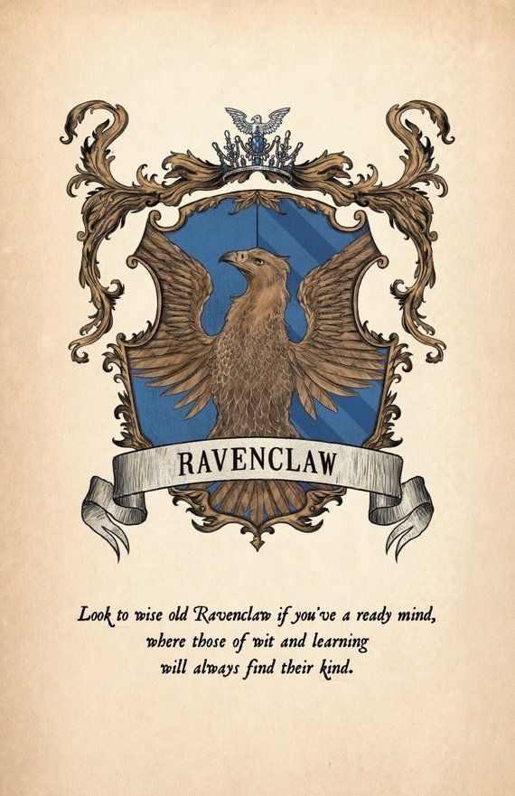 EagleRavenclaws's tweet photo. #Ravenclaw 💙��🦅 https://t.co/WYQlSSuzys