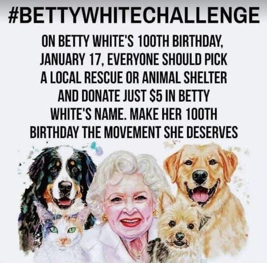 Donate $5 to your favorite shelters and rescues today! I have donated to Demi’s, Rescued Pets Movement and Eastern Plains Animal Welfare Alliance!  #BettyWhiteChallenge

💜Demis: demisanimalrescue.com/donate/