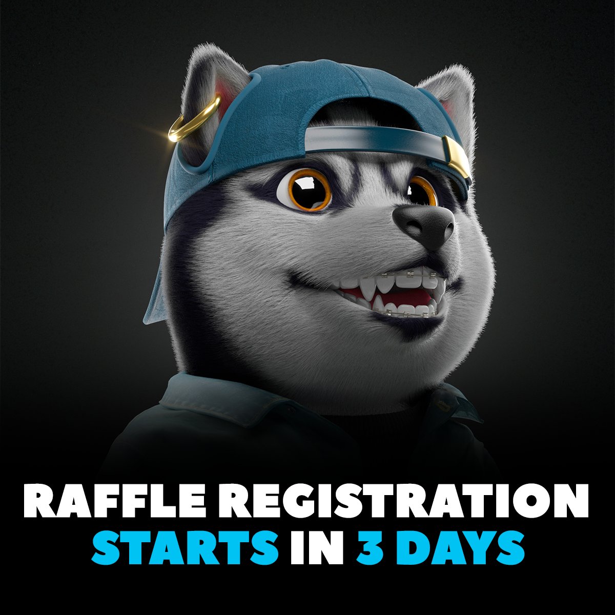 Shiba Social Club tweet media