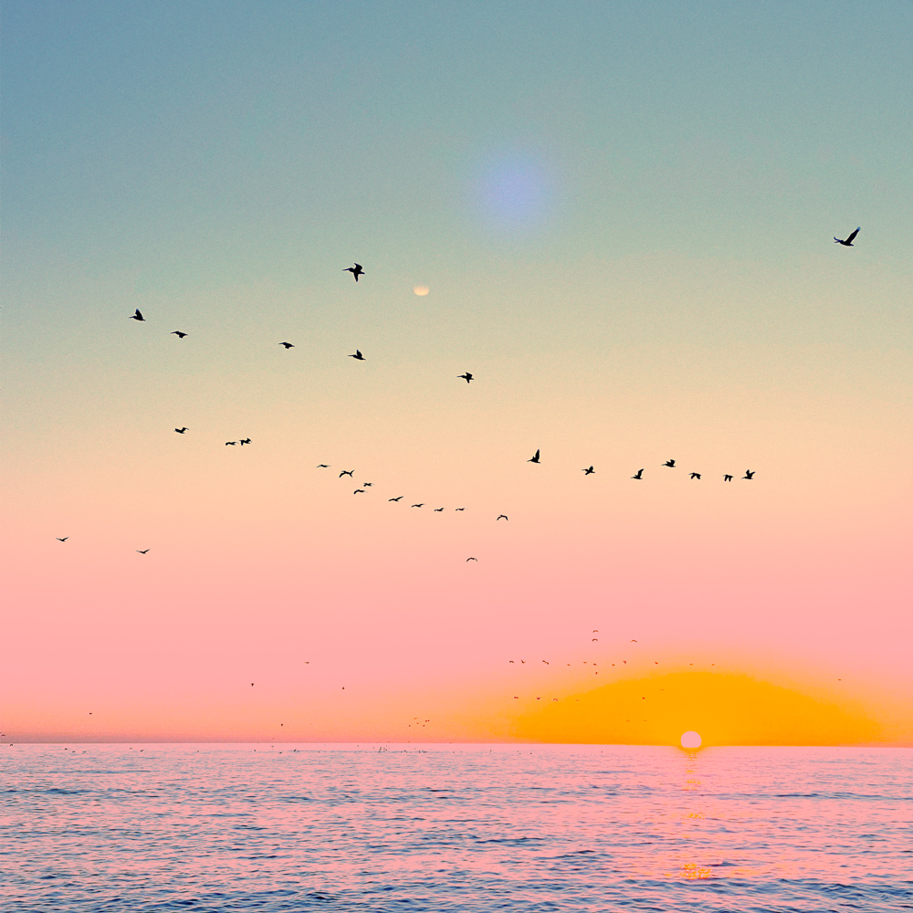 LIGHTS_artist's tweet photo. New drop coming for my @thugbirdz and ocean nft photography lovers! https://t.co/6fAuZu0vHx