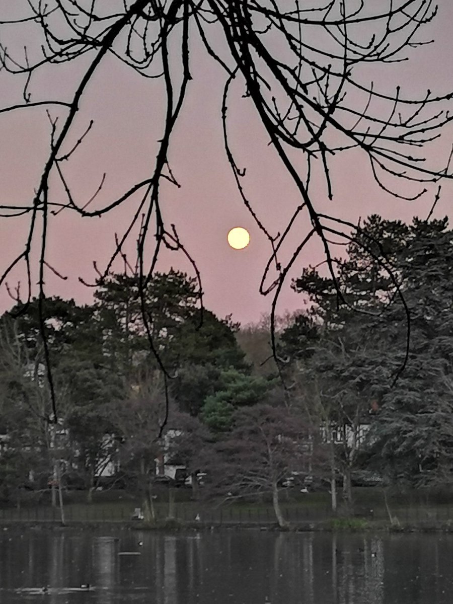 Beautiful Wolf Moon tonight