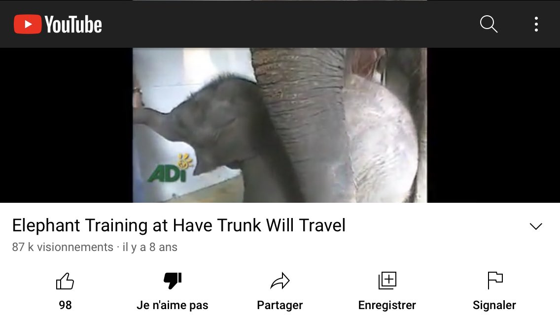 Lucycrew7's tweet image. See on YouTube video made by @AnimalDefenders  the 🐘🐘🐘 are beaten and electrocuted that criminal to do that cruelty 💔🤬🤬🤬 see that baby whit the bullhook in the mouth