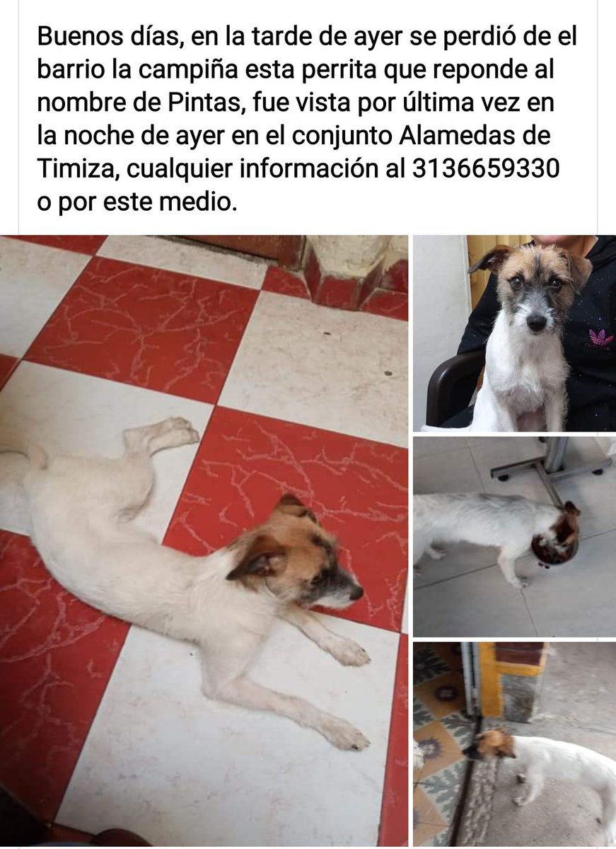 adelamf69's tweet photo. Agradezco cualquier informacion https://t.co/HlVNOI1CQE