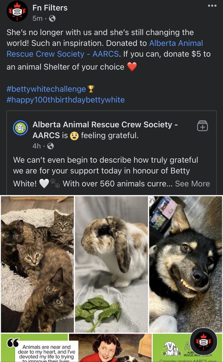 FiltersFn's tweet image. If you can help your local animal shelters with a $5 donation, we picked @AARCS_Canada  #BettyWhiteChallenge #canada #yyc #animals #inmemory #help
