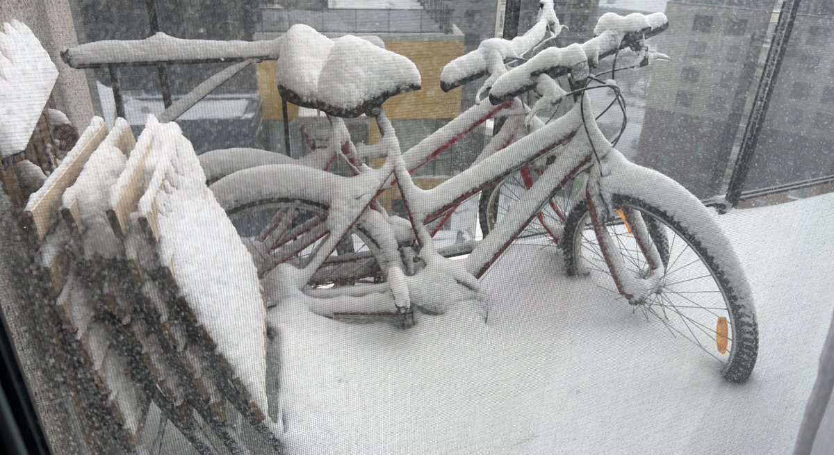 Je pense que d’ici la fin de la journée je vais disparaître sous la neige haha !