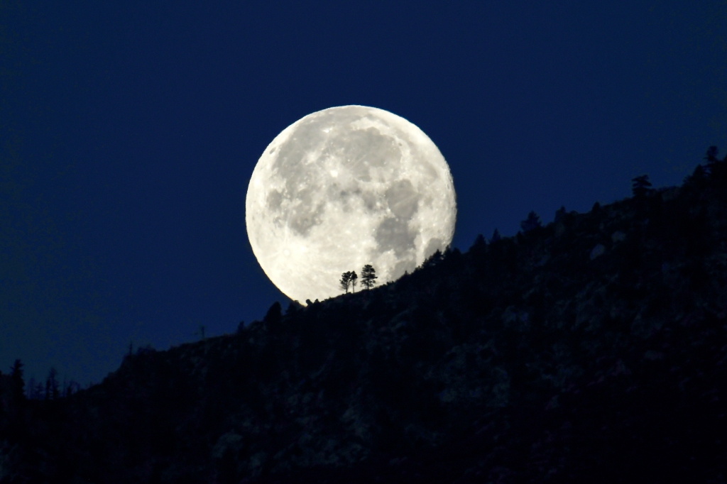 The first full moon of 2022, also known as the Wolf Moon, will rise TONIGHT! 🌕
bit.ly/3rur8tA