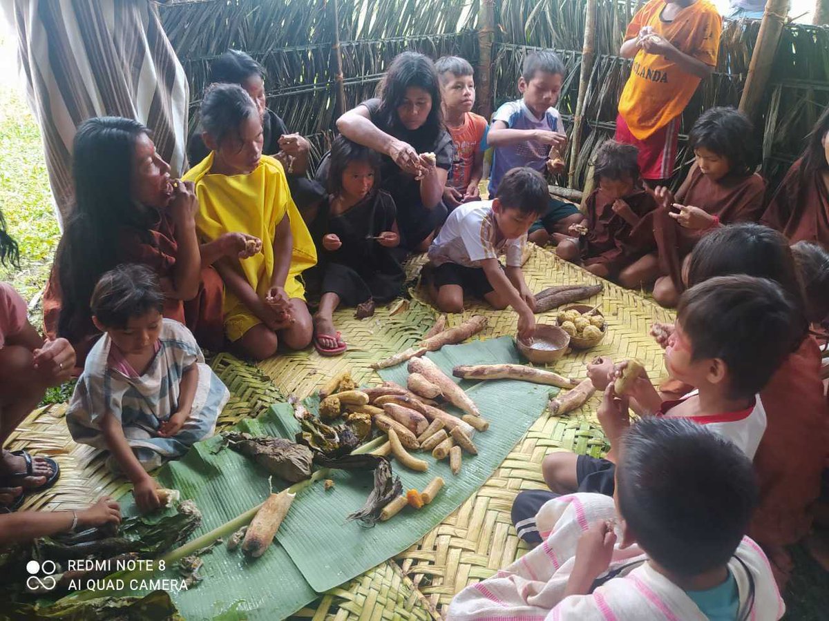 Ojo_Publico's tweet photo. La Federación de Comunidades Nativas Asháninkas del Shesea, en el distrito de Iparia, #Ucayali, solicita al @Minsa_Peru ingresar al territorio indígena en la frontera entre Perú y Brasil para vacunar contra la #COVID19 y la influenza a la población indígena. 🧵

📸: Feconashi https://t.co/wkrfk10tdJ
