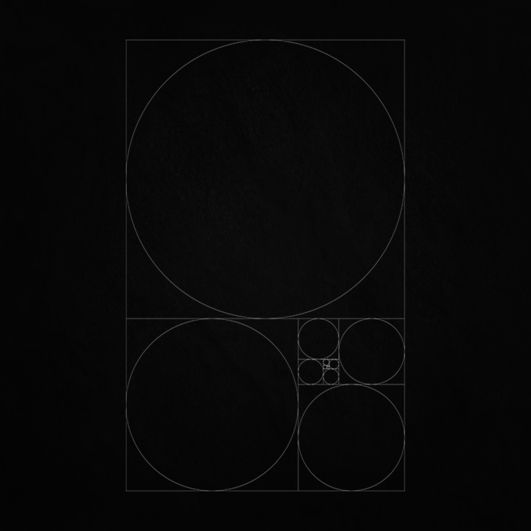 Harmonic network tweet media