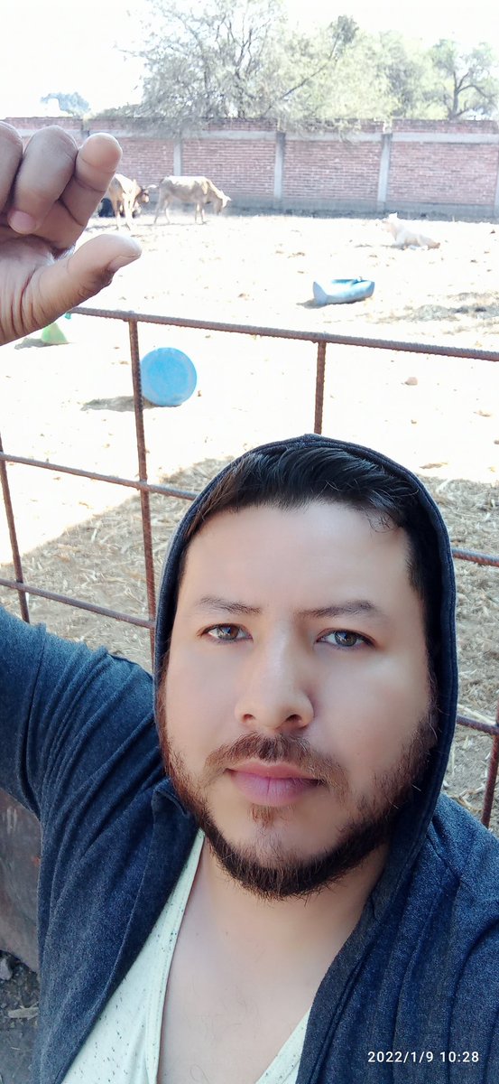 CesarVal29's tweet image. 