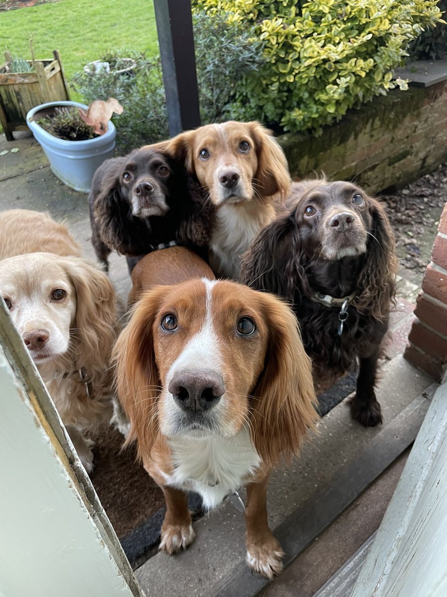 diventpanicpet's tweet image. Excuse us, do you have a moment to talk about our Lord and Saviour Jesus Christ?