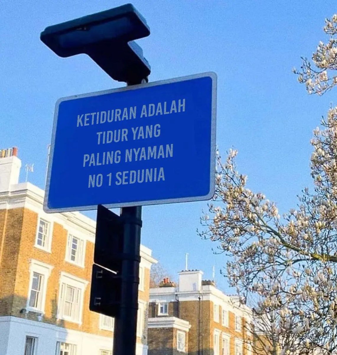 LucuLucuaaan 💚 (@luculucuaaan) on Twitter photo 