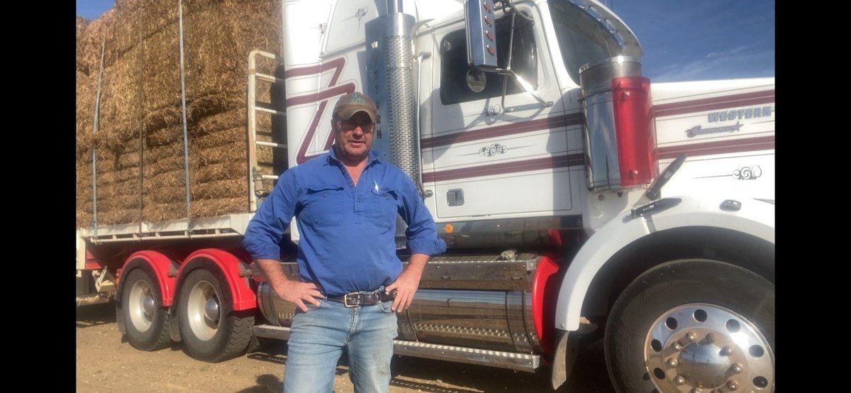 VFFGrains tweet media